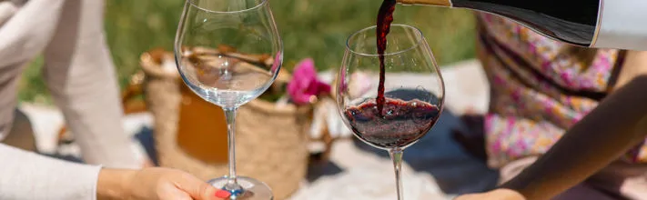 picnic in vigna in Valpolicella 